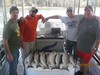 (09/09/2017) - Nice Striped Bass